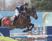 Garofalo A Onnyl TosTour 2013- S5 7631 : Arezzo Equestrian Centre, Garofalo Antonio, Onnyl des Serouis, Toscana Tour 2013, foto di Stefano Secchi ©